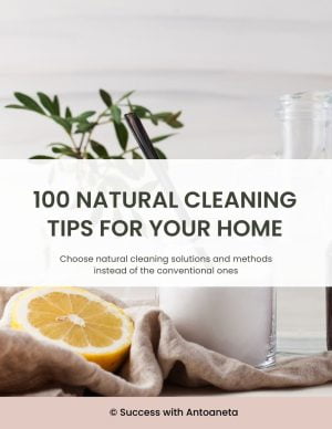100 Natural Cleaning Tips For Your Home 1