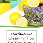 100 Natural Cleaning Tips For Your Home Ebook