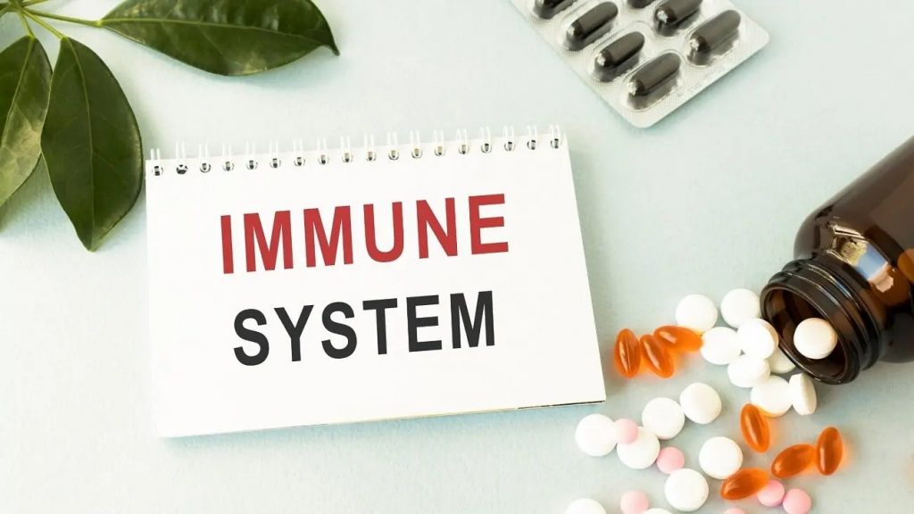 Immune System 1 1