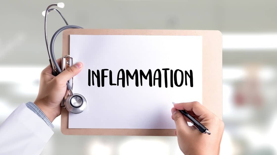 Foods Known To Cause Inflammation