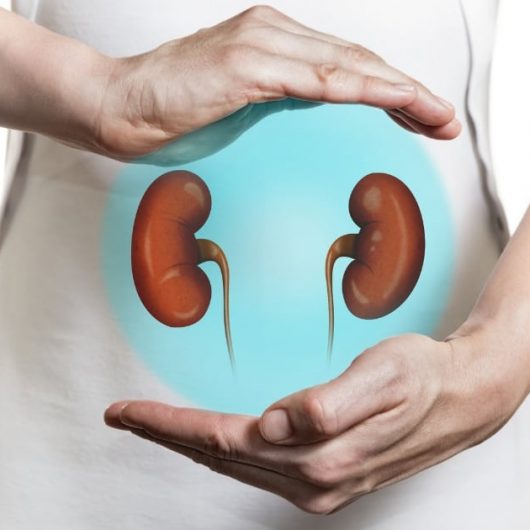 Seven Tips To Maintain Healthy Kidneys