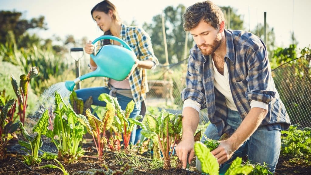 5 Facts About Organic Farming That Will Surprise You
