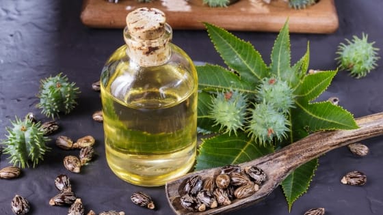 The Incredible Benefits of Castor Oil: How to Use it for a Healthier Body