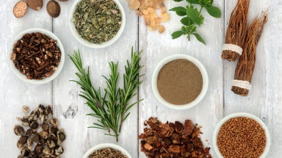 Natural Nerve Calming Foods: Best Herbs and Everyday Edibles for Nervous System Support
