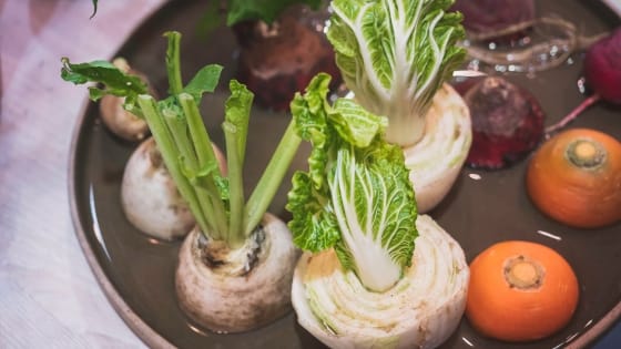 The Sustainable Home