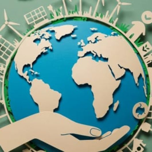 Building a Sustainable Home: Green Swaps that Make a Difference