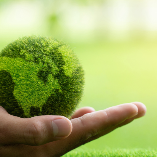 Sustainable Lifestyle Changes: 10 Healthy Habits That Last