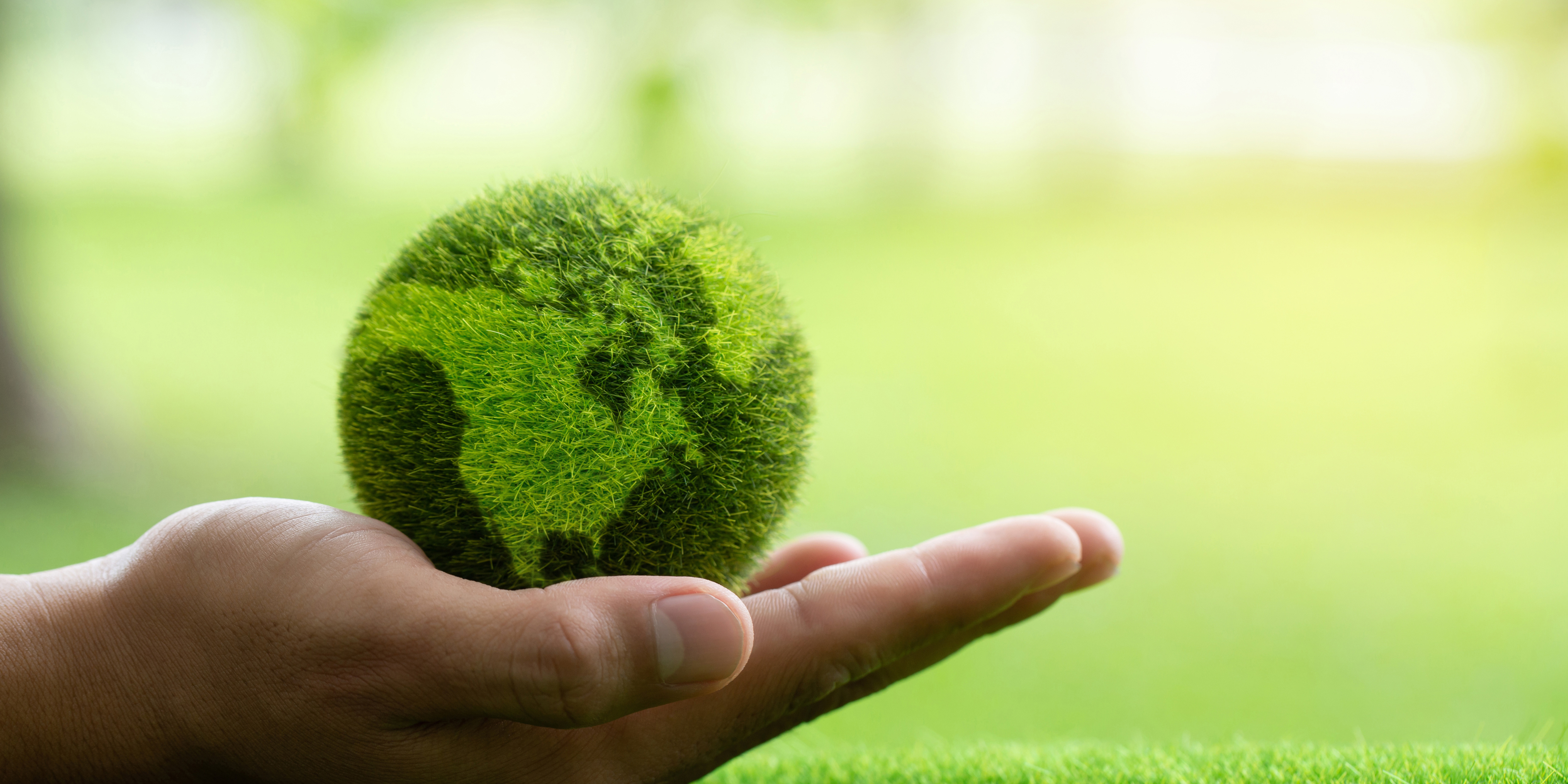 Sustainable Lifestyle Changes: 10 Healthy Habits That Last