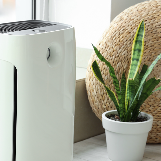 Best Air Purifiers for Allergies: 2026 Buying Guide