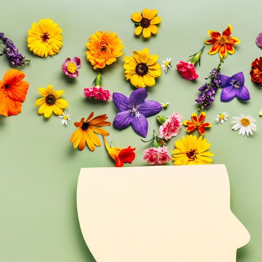 Digital Detox Benefits for Mental Health