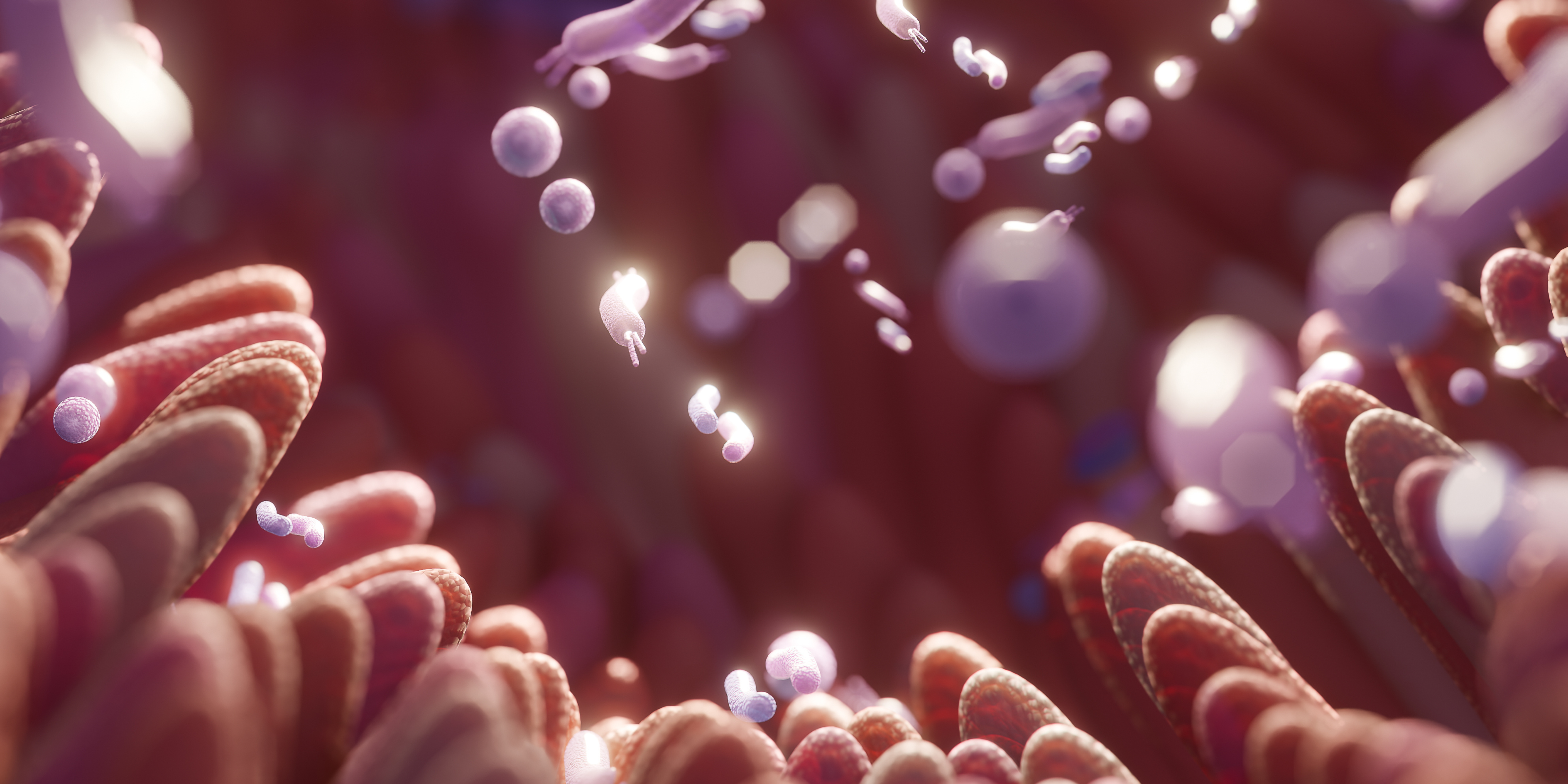 How to Improve Your Gut Microbiome Naturally